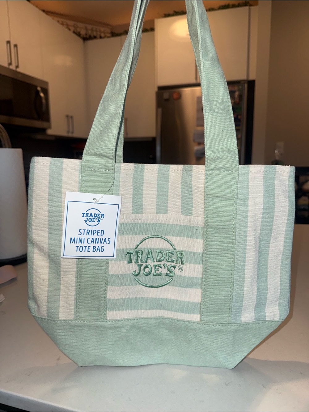 Trader Joe's Green Striped Mini Canvas Tote Bag